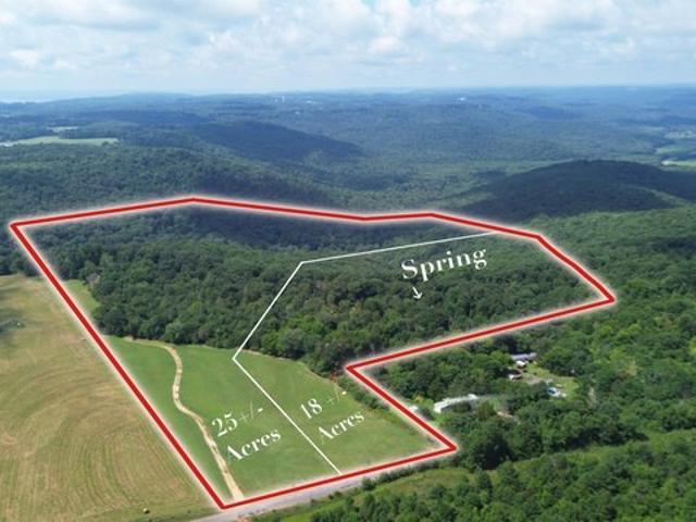 Land for sale in Grant, Alabama