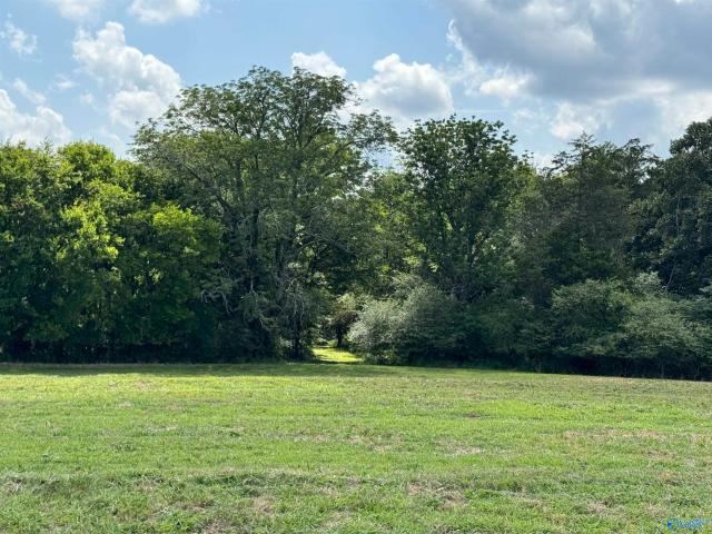 Land for sale in Grant, Alabama