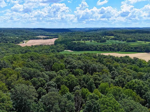 Land for sale in Shoals, Indiana