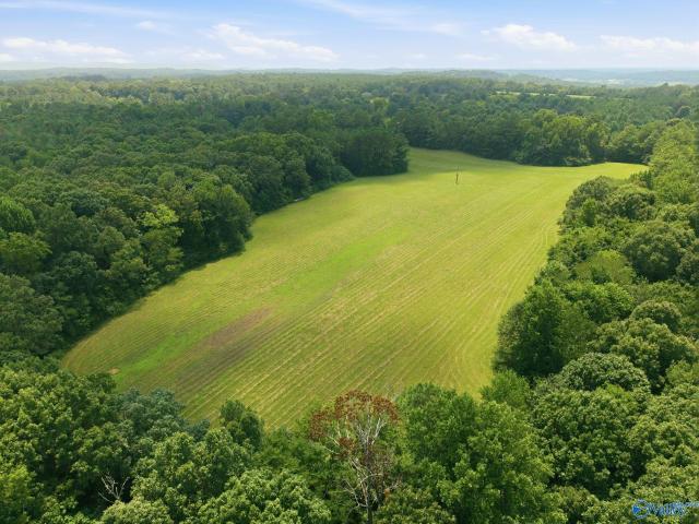 Land for sale in Somerville, Alabama
