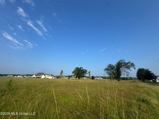 Land for sale in Flora, Mississippi