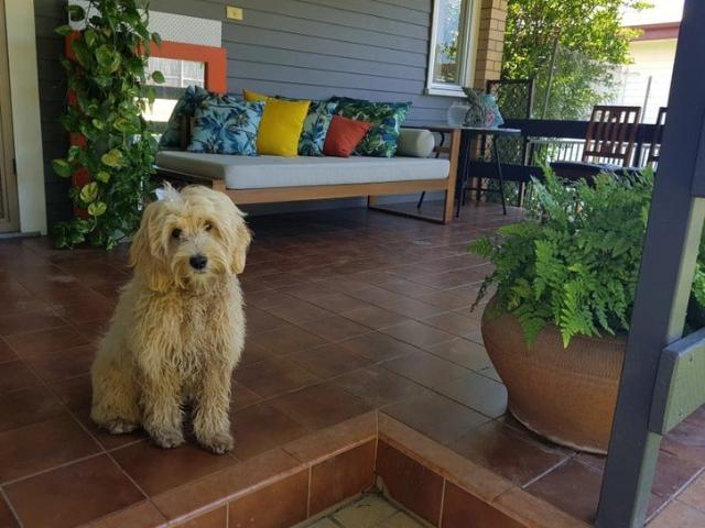 House for rent in Methul, Queensland