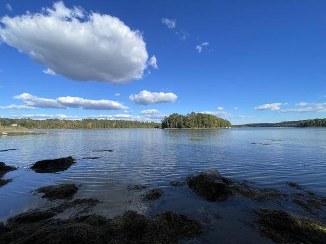 Land for sale in Franklin, Maine