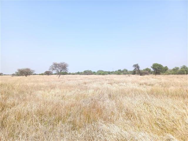 Farm for sale in Naboomspruit, Limpopo