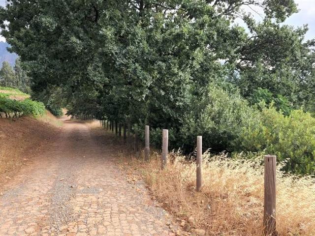 Farm for sale in Durbanville, Western Cape