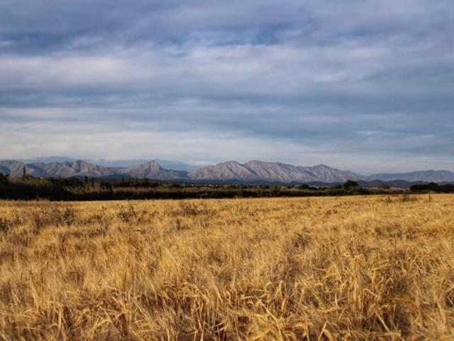 Land for sale in Groot Brak Rivier, Western Cape