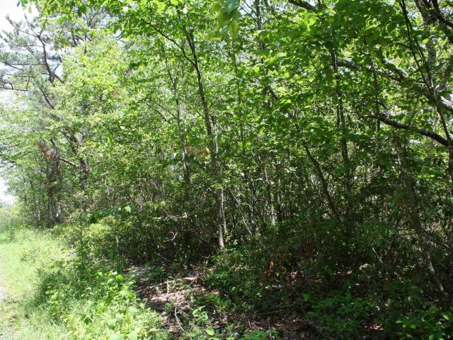 Land for sale in Monterey, Highland County