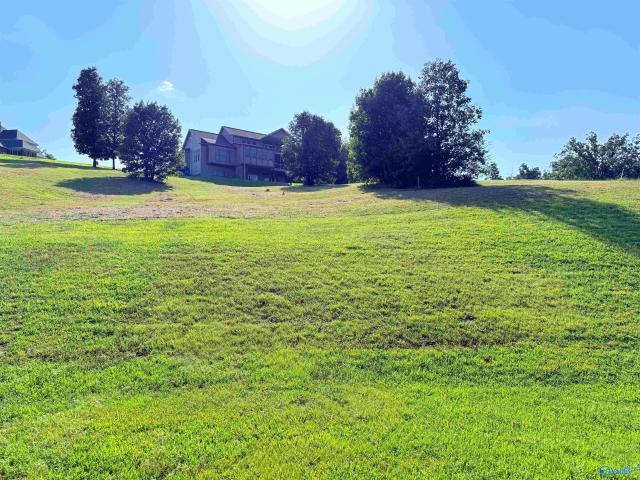 Land for sale in Guntersville, Alabama