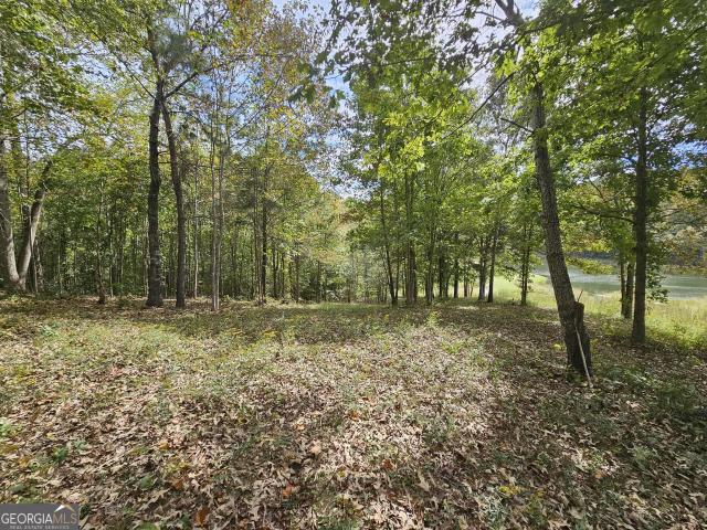 Land for sale in Toccoa, Georgia