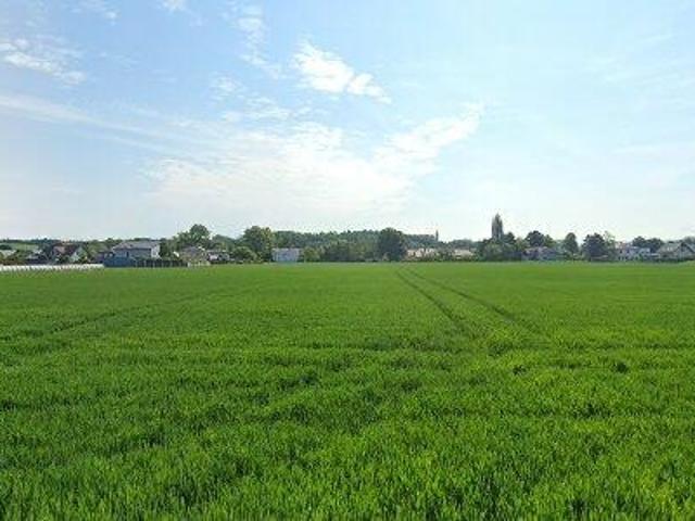 Apartment mieten in Ober-Grafendorf, Niederösterreich