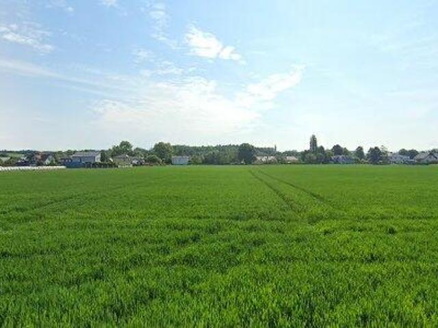 Apartment mieten in Ober-Grafendorf, Niederösterreich