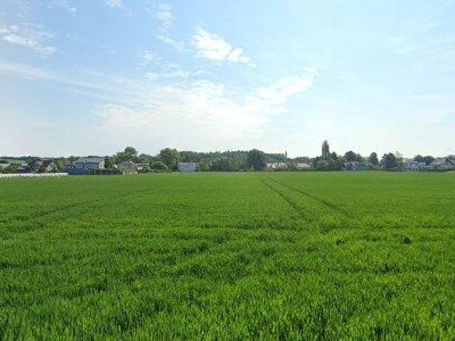 Apartment mieten in Ober-Grafendorf, Niederösterreich