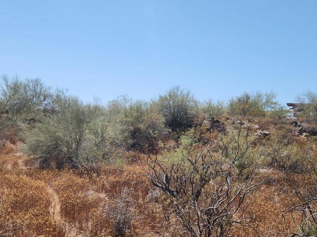 Land for sale in New River, Arizona