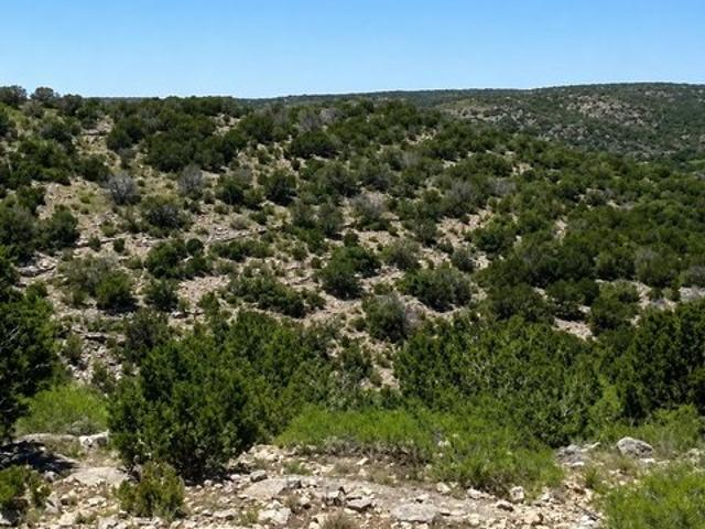 Land for sale in Del Rio, Texas