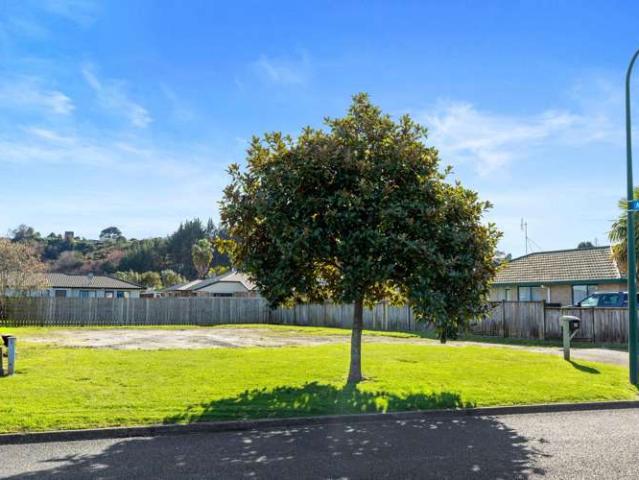 Land for sale in Omokoroa, Bay Of Plenty