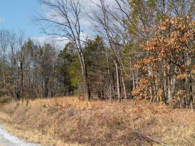 Land for sale in Tennessee