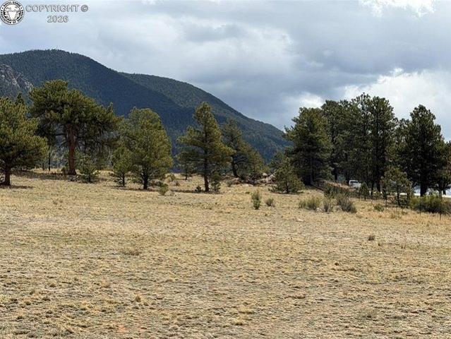 Land for sale in Hartsel, Park County