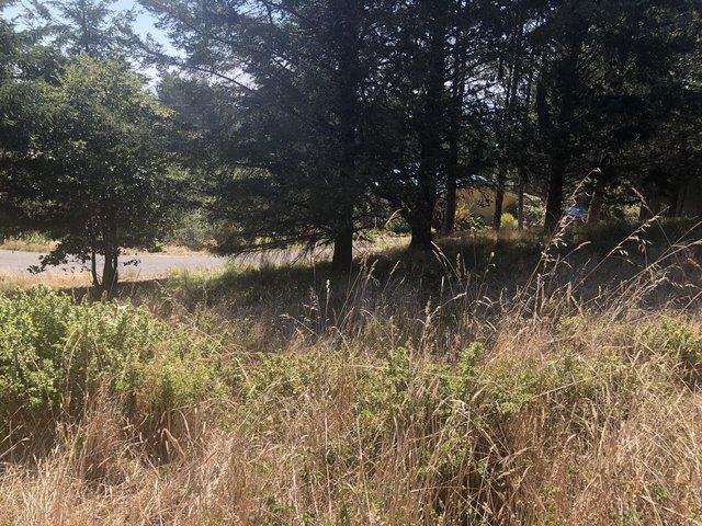 Land for sale in Shelter Cove, Humboldt County