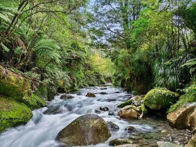 Property for sale in Aongatete, Bay Of Plenty