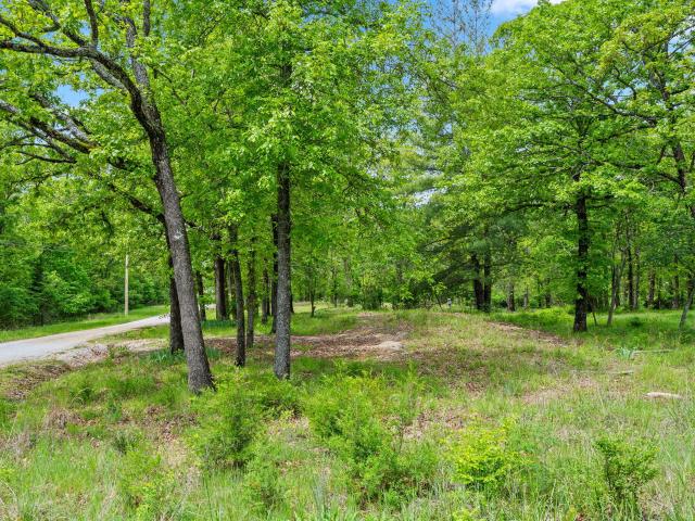 Commercial for sale in Stone, Missouri