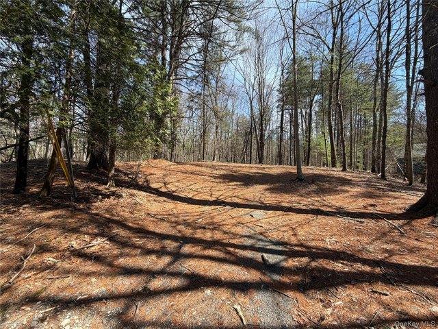 Land for sale in Bloomingburg, New York