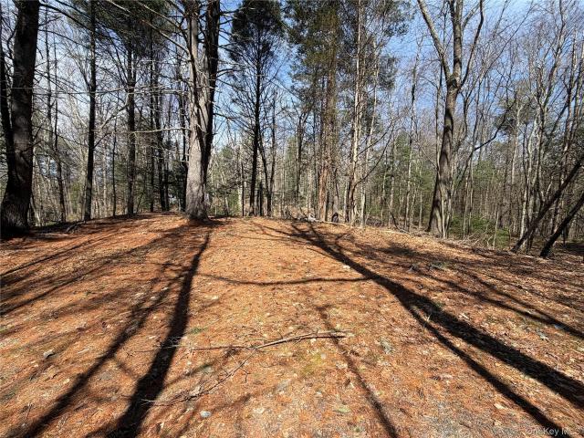 Land for sale in Bloomingburg, New York
