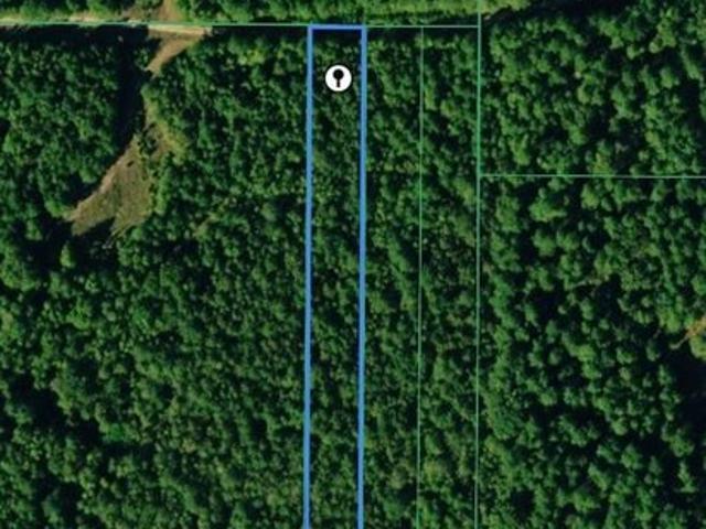 Land for sale in Ida, Louisiana