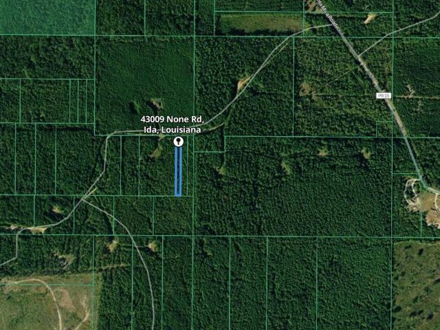 Land for sale in Ida, Louisiana