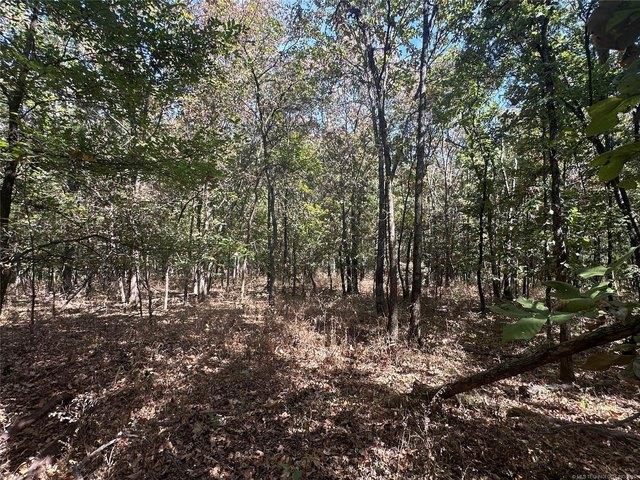 Land for sale in Big Cabin, Oklahoma