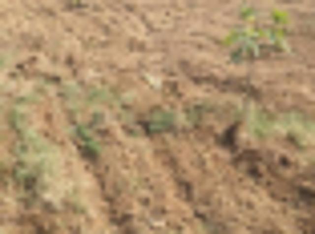 Flat for sale in Ahmadabad, Gujarat