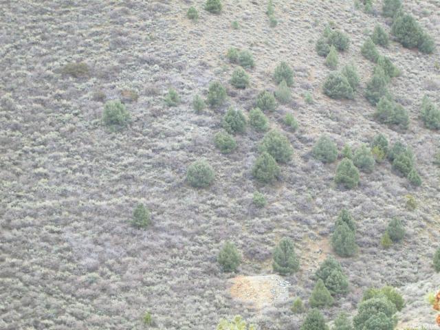 Land for sale in Virginia City, Nevada