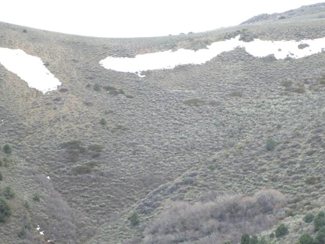 Land for sale in Virginia City, Nevada