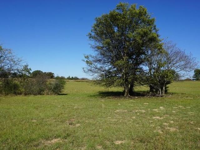Land for sale in Morris, Texas