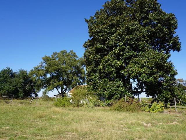Land for sale in Morris, Texas