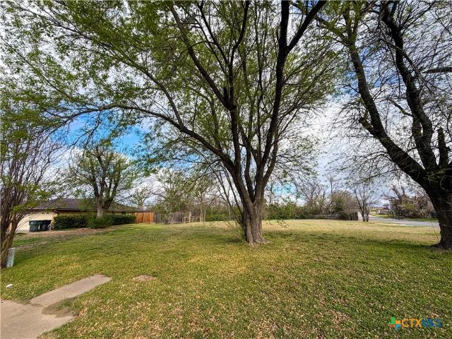 Land for sale in Temple Bar Marina, Texas