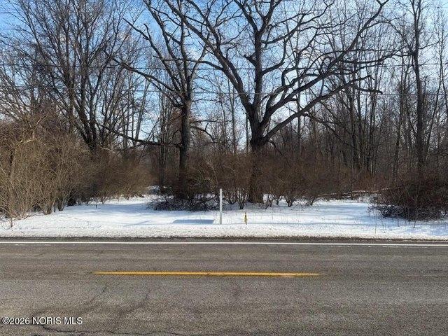 Land for sale in Swanton, Ohio