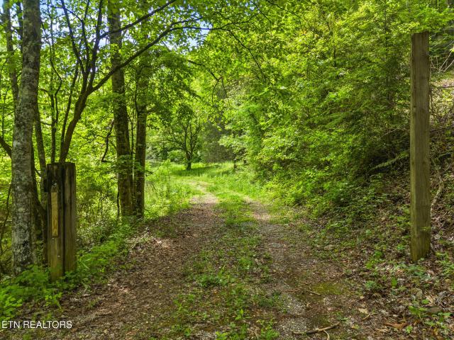 Land for sale in Pigeon Forge, East Tennessee
