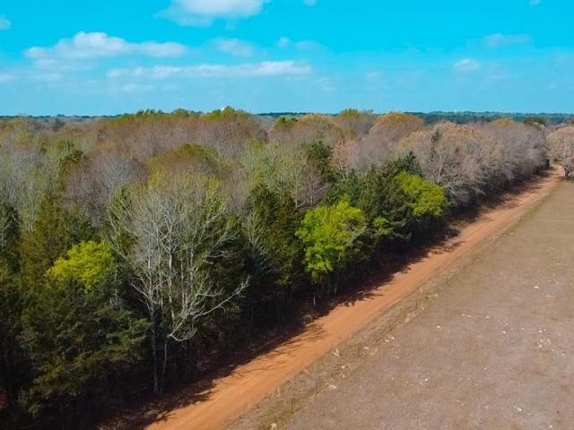 Land for sale in Naples, Texas