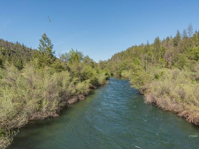 House for sale in Douglas City, California