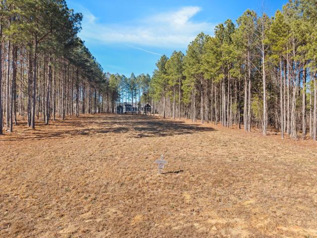 Land for sale in Jasper, East Tennessee