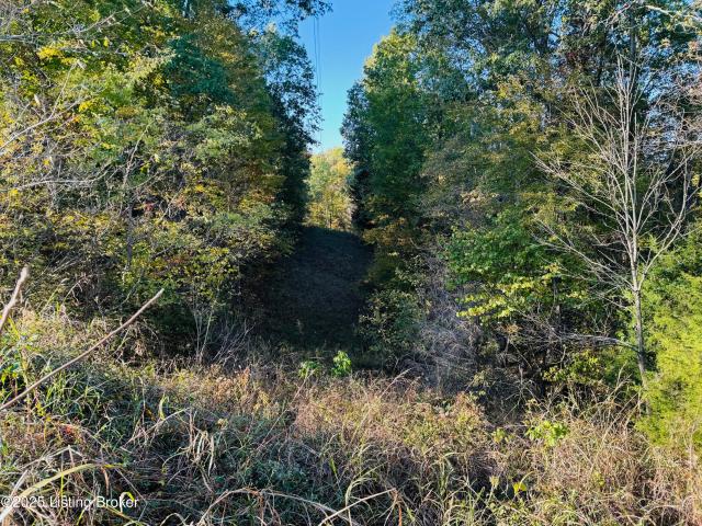 Land for sale in Willisburg, Kentucky