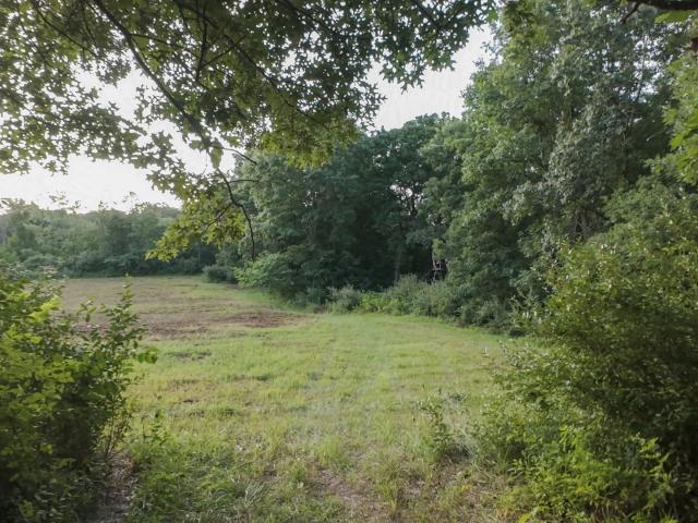 Land for sale in Marshall, Illinois