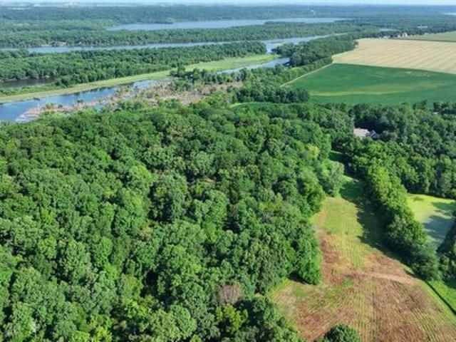 Land for sale in Marshall, Illinois