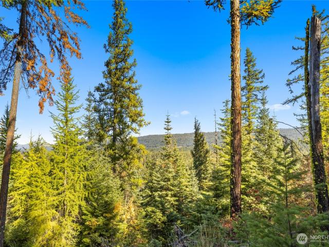Land for sale in Cle Elum, Washington