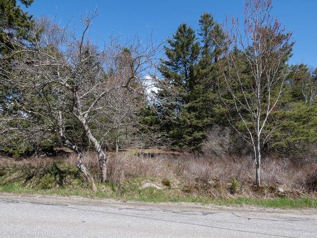 Land for sale in Maine