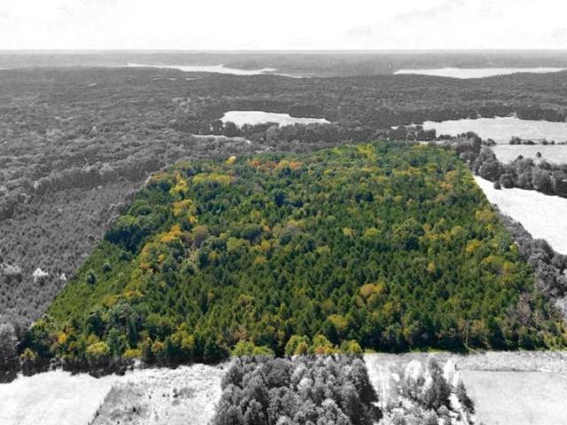 Land for sale in Clinton, Missouri
