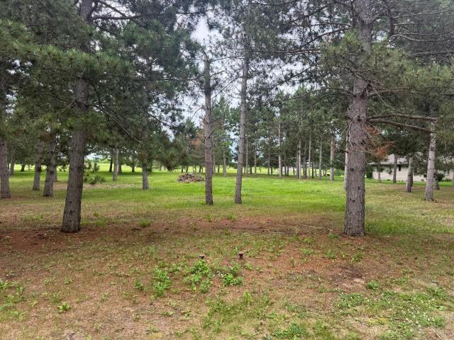 Land for sale in Ottertail, Minnesota