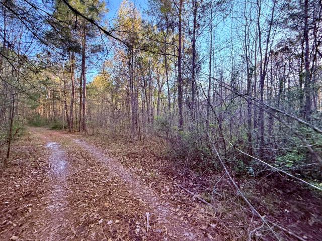 Land for sale in Jamestown, South Carolina