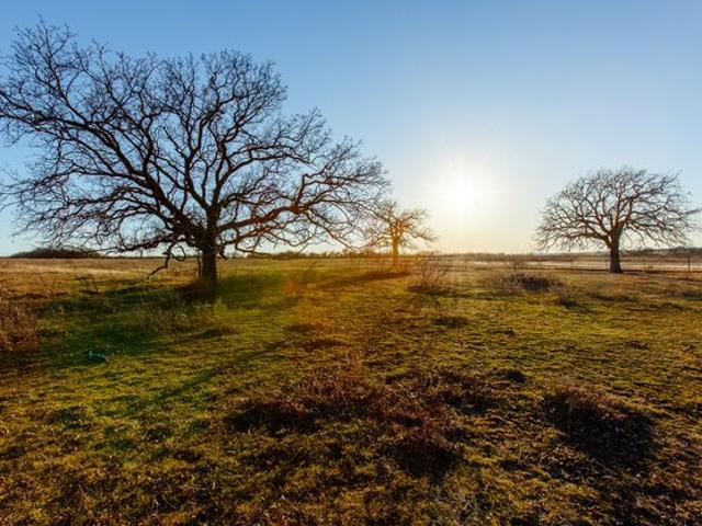 Land for sale in Perrin, Texas