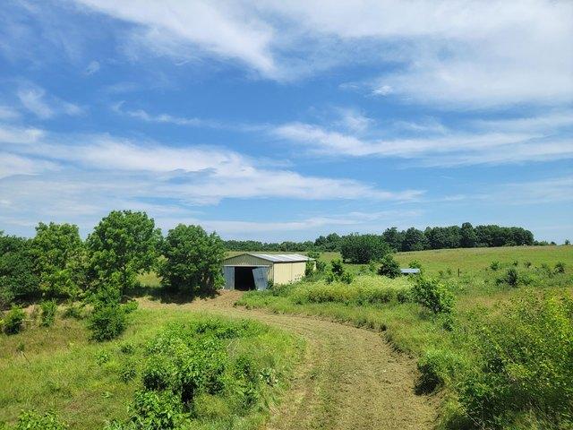 Land for sale in Pierce City, Missouri